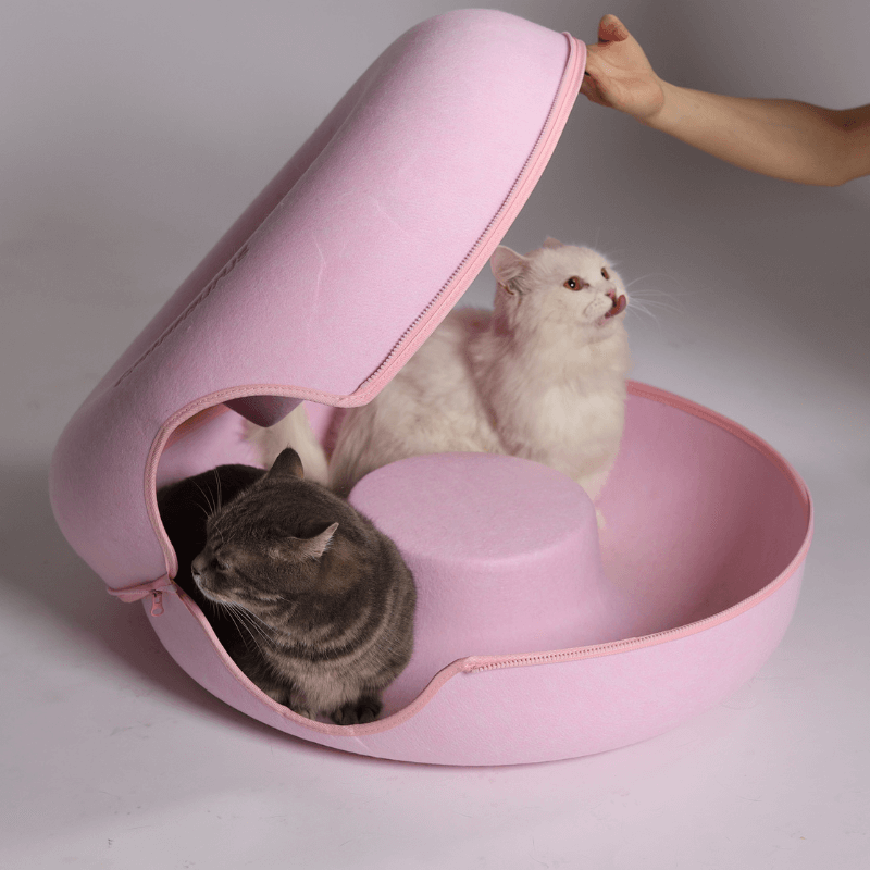 Interactive Kitty Hideout