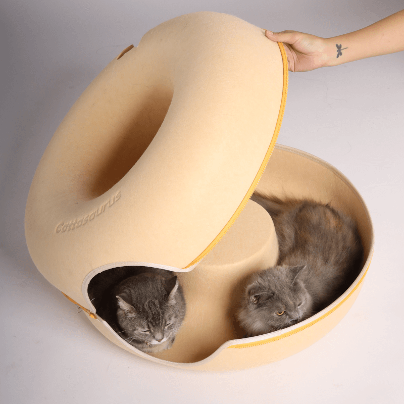 Interactive Kitty Hideout